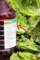 还有多少“甲醛白菜”流入了市场 食品安全底线何在？