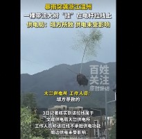 温州暴雨塌方导致大树带泥土悬挂电线杆上，当地供电局回应：该设施为拉线，不承担供电功能，周边供电未受影响，现场已处理完毕