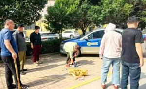 济南“一元物业”小区是怎样定价的 透明账目赢得信任