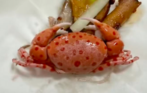 买海鲜混入毒蟹险酿大祸 螃蟹季食鲜小心这些海洋“毒物”