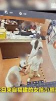 4岁幼童对性别认知并不成熟 公共场所摩擦引发热议