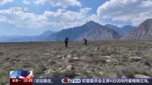 贺兰口新发现“双人持盾”岩画 填补同类题材空白