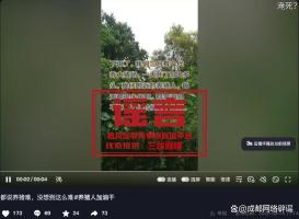 绵阳一养猪场单日死亡500头猪不实 网传信息引发关注
