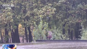 四川到湖北将有较强降雨 周末西北东北等地迎降温