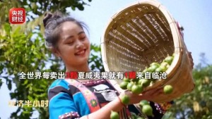 爆单！全球三分之一夏威夷果，产自中国这个小城！