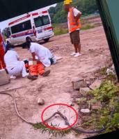 清渣工触电身亡 国企追责表述消失 电缆事故引发赔偿争议