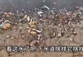 德州一河流疑因城市污水企业废水污染 当地回应：已接到相关投诉，有工作人员到场查看，具体进展暂不便透露