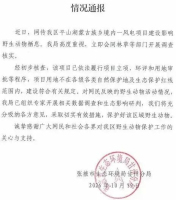 官方称风电建设合规将调查兔狲栖息地 确保生态安全