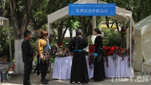 “5·19中国旅游日”：西藏推出系列文旅惠民举措