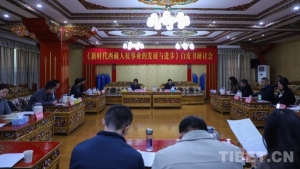 西藏各族人民的幸福生活就是最有力的人权宣言