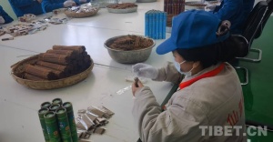 西藏昌都：传统藏医药的现代传承与高原健康使命