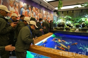 【辉煌60年 和美那曲】一场跨越3600公里的惊喜重逢