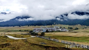 连续九年排名第一，林芝是怎么做到的？