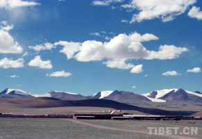 【藏北故事】藏北，我生命中激情飞扬的“精神高地”