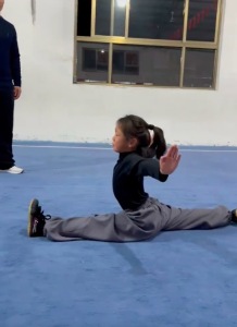 河南7岁女孩练武 行云流水太飒了！