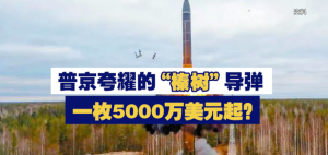 专家称榛树导弹单价或超5000万美元，平均1公里1万美元