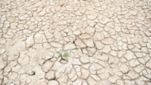 湖南等地旱情嚴重，江西重度氣象干旱已持續74天，形勢不容樂觀