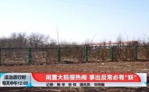 北京朝阳群众举报这个院子很诡异 民警出击抓获6人