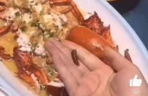 食客点龙虾做记号上菜后发现被换 店家辩称上错了