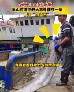 渔民捕获重200斤“带鱼王” 老渔民都惊讶网友想知道他的味道