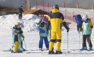 河北一滑雪场禁止游客教亲友滑雪 先学职业资格证