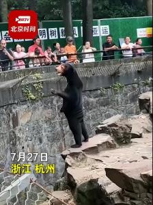 黑熊是人扮的？杭州动物园回应：肯定不是，夏天高温人套皮毛坚持不了的