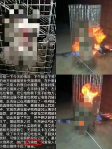 南阳理工涉事学生被开除学籍，其曾在网上发布虐猫视频并发表不当言论