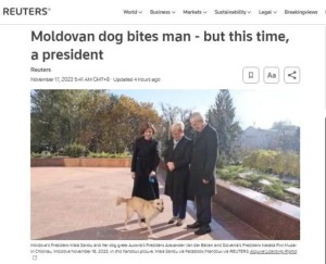摩尔多瓦总统爱犬咬伤奥地利总统 会谈时手缠绷带