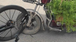男子骑电动车逆行撞自行车被判全责 需赔3万多！