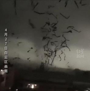 官方回应广州一厂房被龙卷风吹翻 多人受伤，紧急抢险中