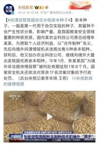 间谍窃取杂交水稻种子后果有多严重 威胁粮食安全基石