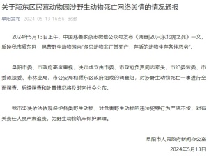 官方通报动物园20只东北虎死亡 经营权纠纷引悲剧