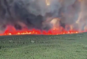 美国阿拉斯加大火已经烧了三周 过火面积抵欧洲一国家