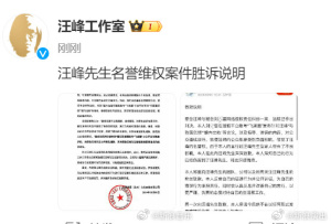 汪峰名誉维权案件胜诉