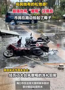 台风过后海南市民在路边捡椰子 乐观精神显灾后温情