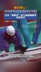 血腥！日本“海豚湾”再度开启捕猎季