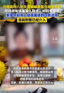 南阳一对八旬夫妇被蜇伤去世 人头蜂袭来，悲剧背后藏隐情？