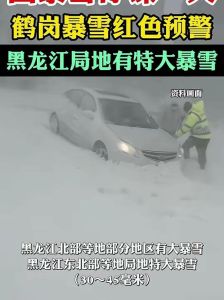 鹤岗暴雪27人被困深山民警徒步救出 极端天气下的温暖救援