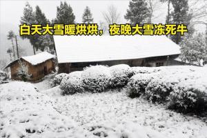 白天大雪暖烘烘夜晚大雪冻死牛有啥说法？ 预示冷冬或暖冬