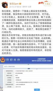 明星承认被行政拘留，称“酒后用身体撞击汽车，没打架” 情绪崩溃致寻衅滋事