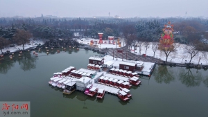 洛阳城内雪景醉人 千年古都银装素裹