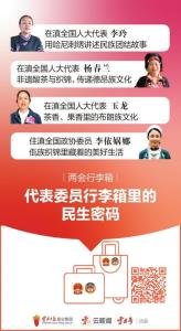 95后哈尼族委员把民族刺绣带到现场 展示民族文化魅力