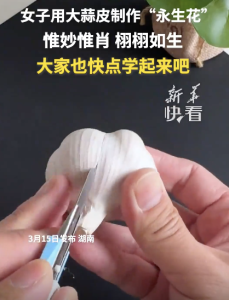 女子用大蒜皮制“永生花”惟妙惟肖,！