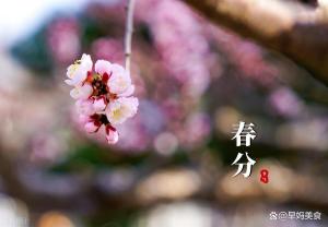 今日春分 記得：1衣不穿、2菜不吃,、3事不做 春分養(yǎng)生要點(diǎn)