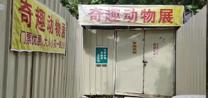 10元动物园爆火 园长忙得没空喝水 小众动物园意外走红