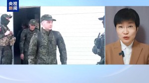 普京下令停火30小时是给美国面子吗 俄美关系调整窗口期