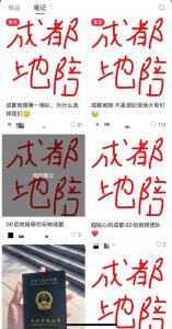 五一節(jié)“陪游”生意火爆 私人定制陪伴成新寵