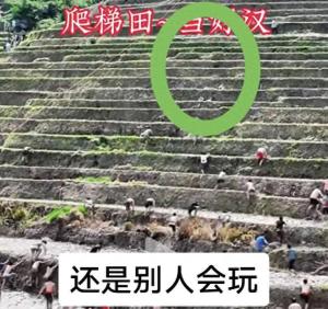 爬梯田比賽有人半坡起跑？景區(qū)回應(yīng) 工作疏忽導(dǎo)致誤會
