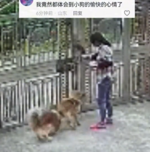 “好朋友”來玩，狗狗示意主人開門
