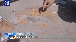 加沙商販親歷以軍空襲：幾乎無(wú)人幸免,，整個(gè)市場(chǎng)的人幾乎全都死了